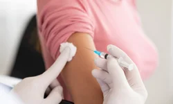 Proclamação da República altera principais serviços