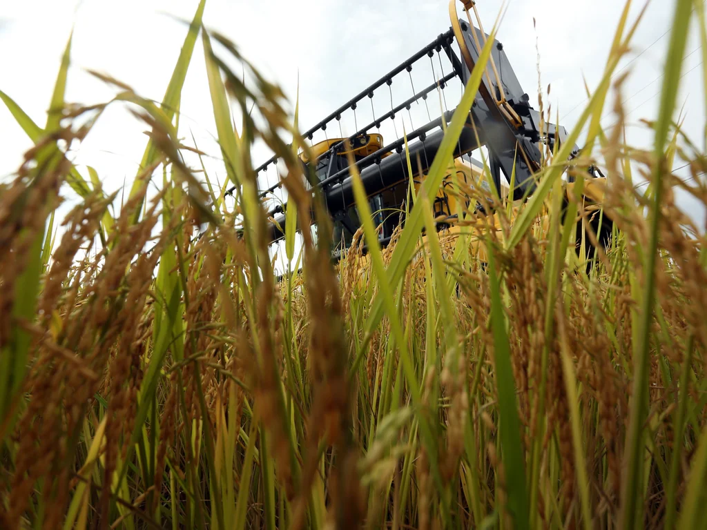 Farsul propõe medidas para destravar crédito