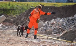 MDB gaúcho elege novo presidente
