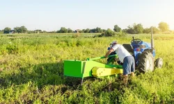 Livro é tão gostoso quanto chocolate