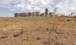 Últimos dias de fevereiro terão nova onda de calor