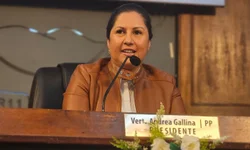 Escolhidas lideranças da Procuradoria da Mulher