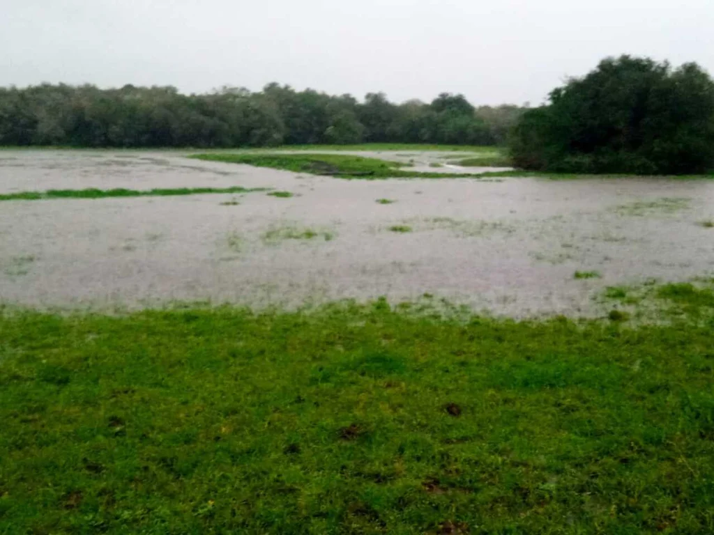 Chuva e temperatura amena são prognósticos para a semana