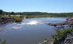 Artistas de Bagé opinam sobre nova ministra da Cultura