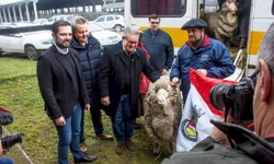 Expointer abre os portões para as estrelas da festa