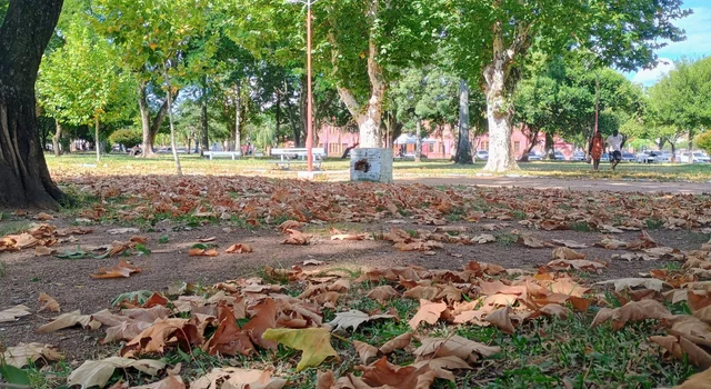 Outono sob El Niño terá temperaturas altas e chuva variável