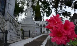 Cemitérios se preparam para o Dia de Finados