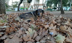 Verão começa sob influência do fenômeno La Niña