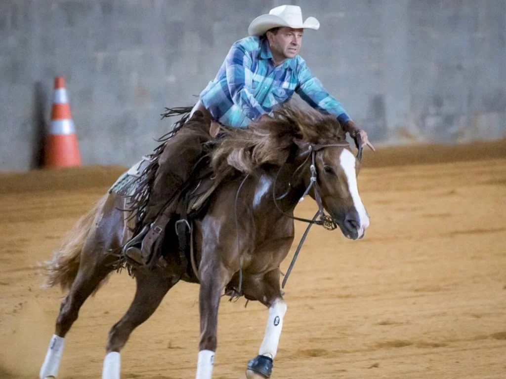 Cavalo Crioulo marca presença no Derby de Rédeas