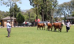 Bagé é destaque no calendário oficial de feiras agropecuárias