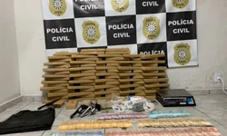 Delegado diz que polícia estabelece mecanismos de controle