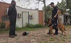 Mais de 29 mil presos já foram vacinados contra a Influenza