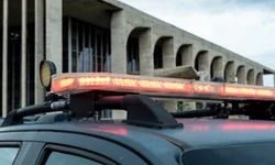 Homem não apresenta documentos e animais são apreendidos