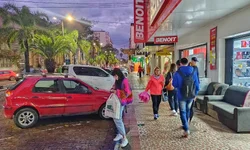 Dia da Lã tem debate sobre mercado e possibilidades