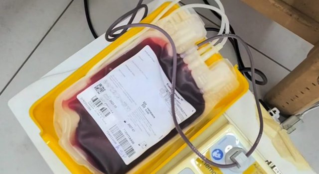 Coleta alcança 100 bolsas na primeira campanha do ano