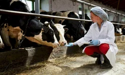 Gedeão Pereira manifesta preocupação com a seca nas lavouras