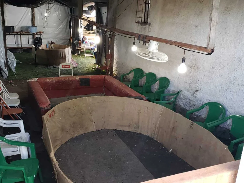 Operação prende 22 pessoas em rinha de galos