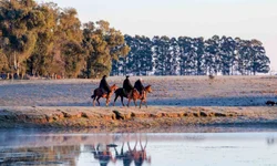 Expopampa será vitrine das potencialidades da região