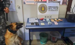 Santa Thereza: um tributo a Ierecê Moglia