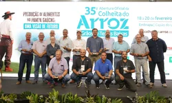 Produtores gaúchos poderão vender arroz à Conab a partir de abril