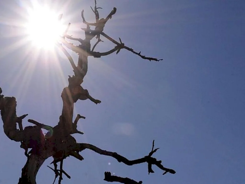 Verão começa nesta quarta-feira