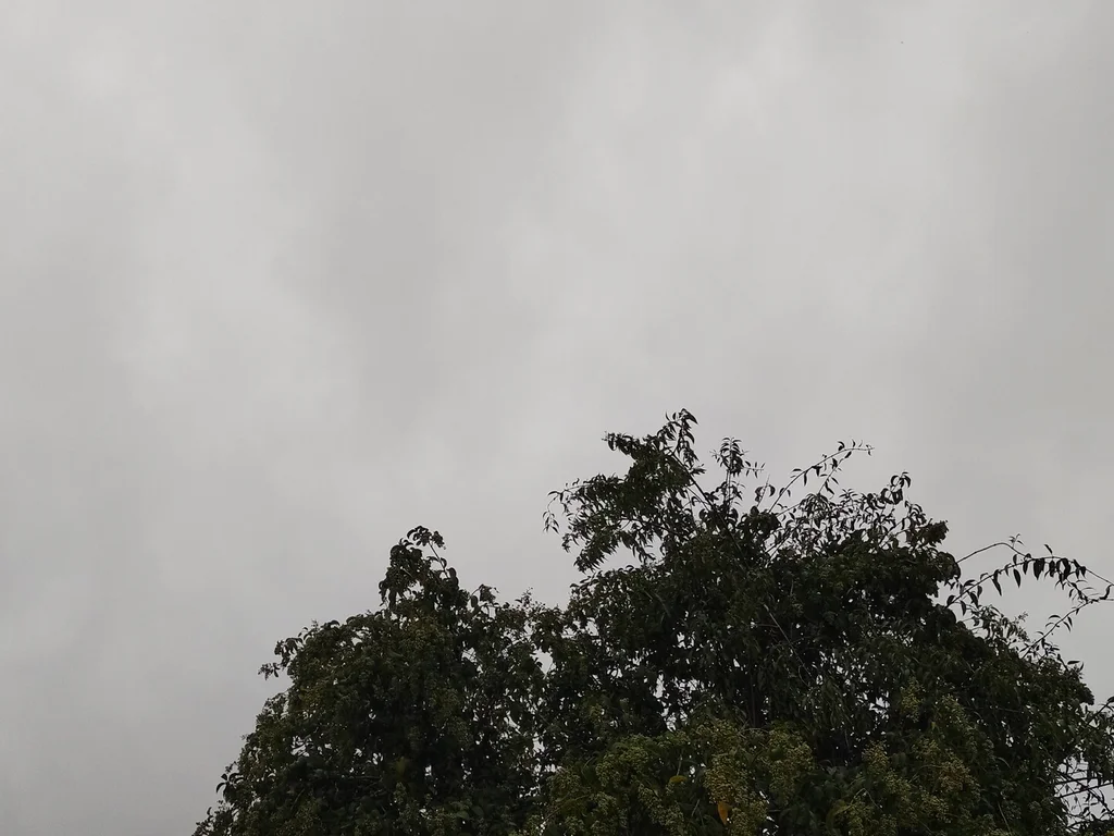 Semana começa cinza