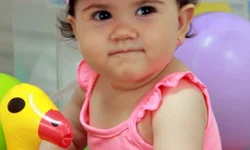 Pânico é estreia desta semana no Cine 7