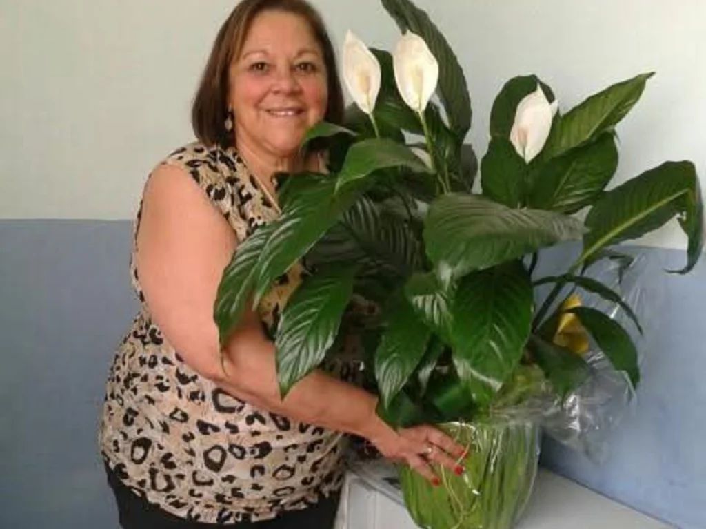 Morre a radialista Elaine Silveira