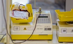 Coleta de sangue em Bagé deve iniciar em fevereiro