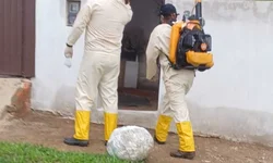 Bagé registra cinco casos confirmados de dengue