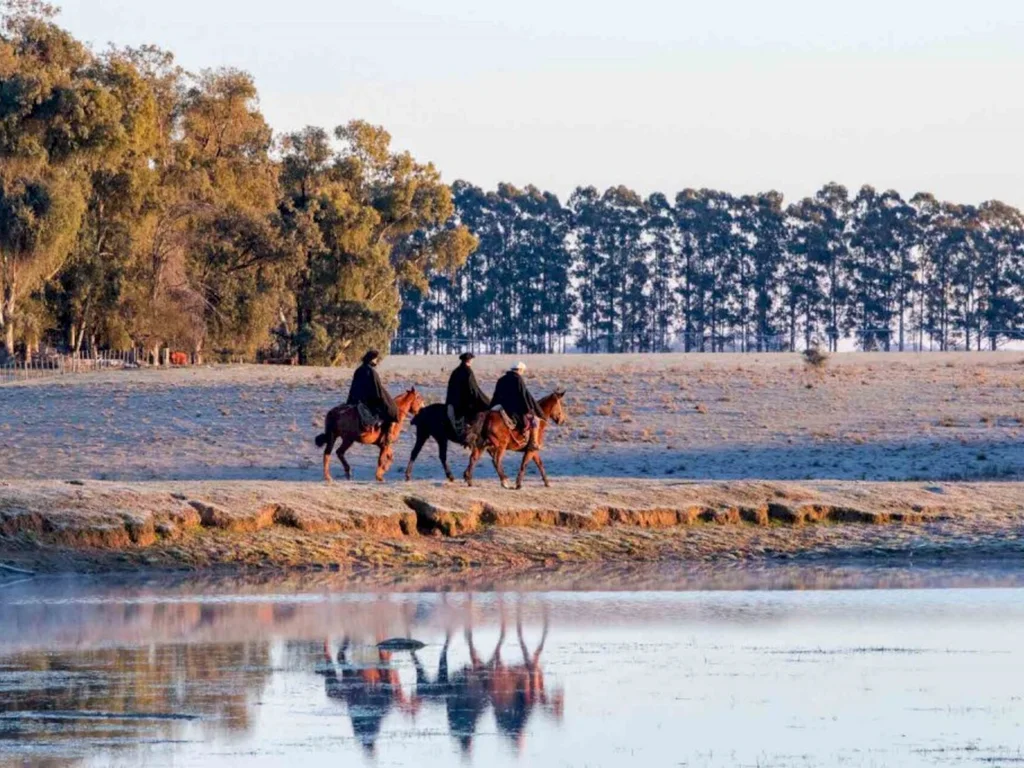 Expopampa será vitrine das potencialidades da região