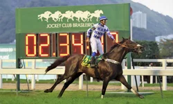 Decretada emergência: saiba o que acontece agora