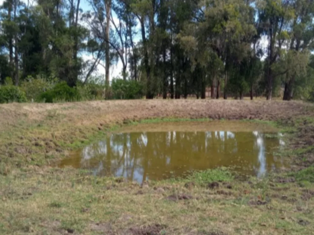 Lideranças falam sobre reais necessidades dos municípios