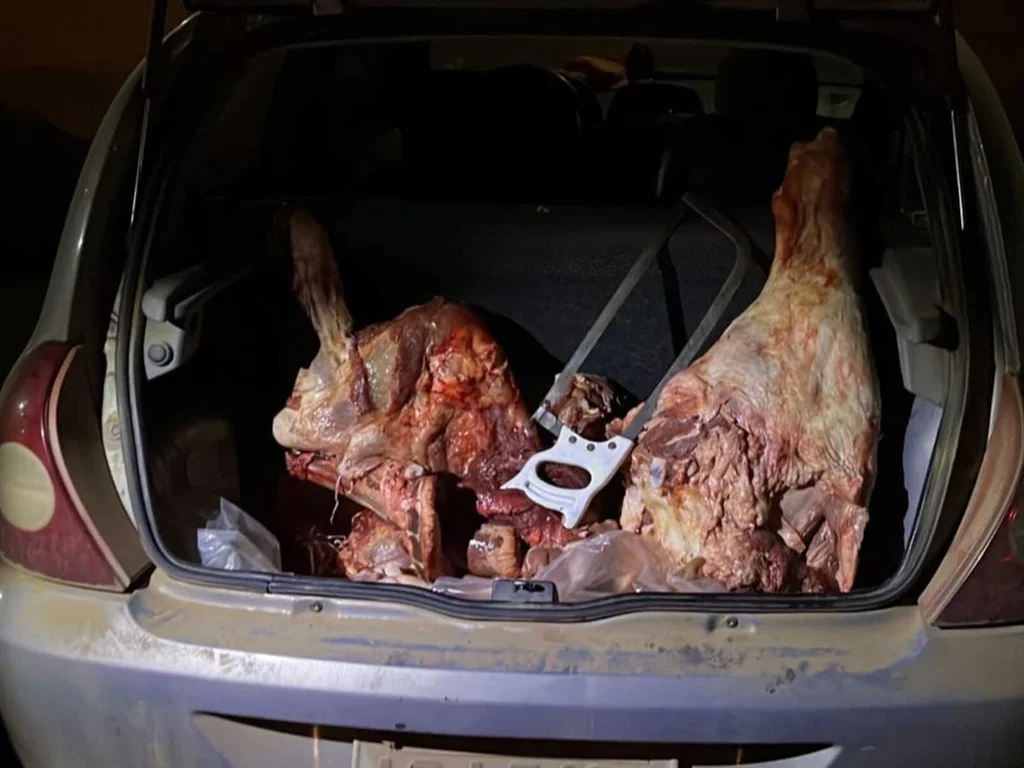 Civil e Brigada prendem três por abigeato