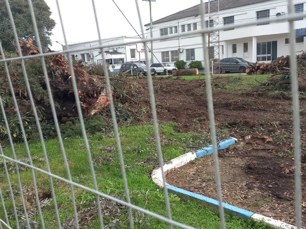 Corte de árvores em praça gera polêmica