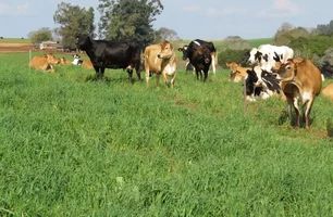 Atividade econômica cresce 2,5% em 2025