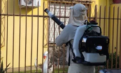 Do banho na sanga ao índio Cobra Coral