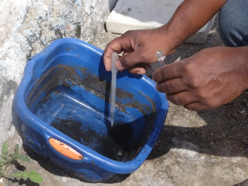 Lira encontra larvas do aedes aegypti em 5,3% dos imóveis