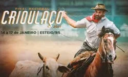 Jurados das raças Hereford e Braford são definidos