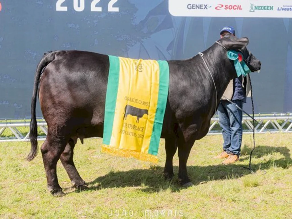 Saem grandes títulos de argola Ultrablack em Esteio