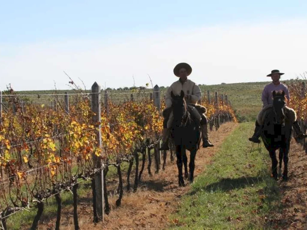 Consulta Popular vai destinar R$ 30 milhões para projetos