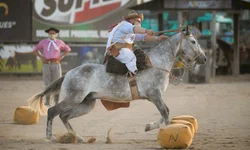 Campereada Team Penning consagra cinco trios