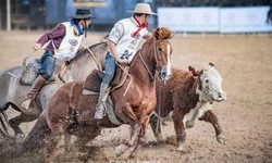 Todas candidaturas de Bagé são deferidas