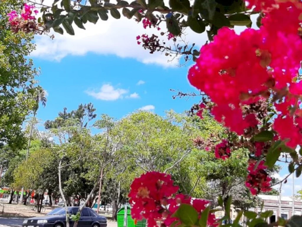 Tempo de cuidar e se cuidar