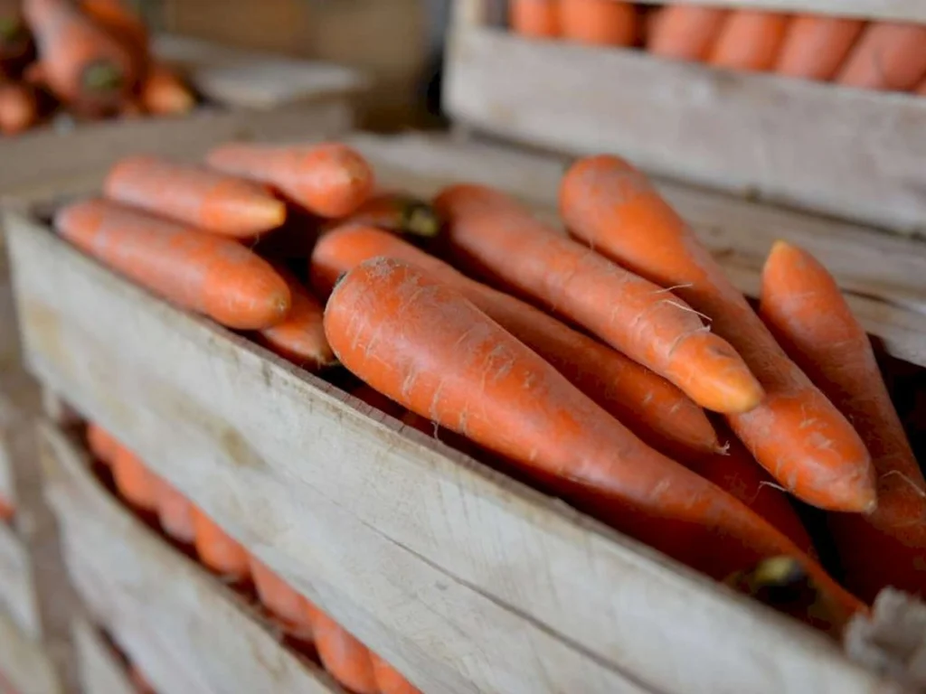 Economista explica elevação generalizada de preços