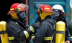 Homem não apresenta documentos e animais são apreendidos