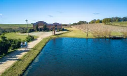 Mulheres encaram assado de cordeiro inteiro