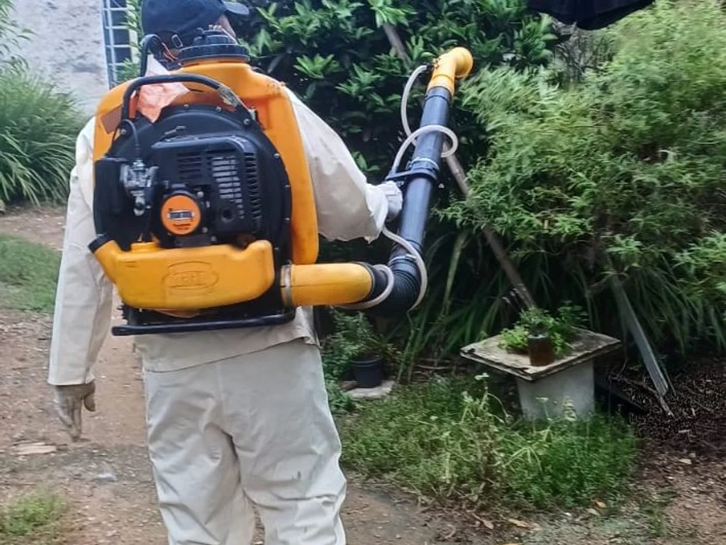 Mapeamento de focos do Aedes aegypti inicia na segunda