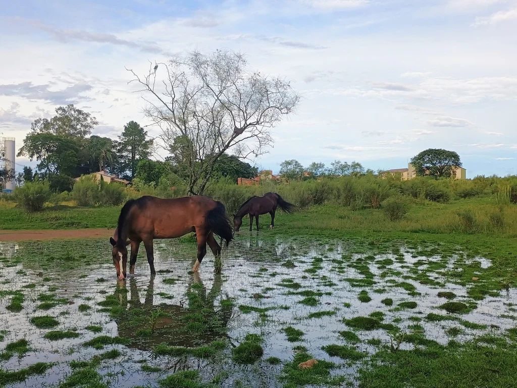 Calor e pouca chuva elevam risco de déficit hídrico