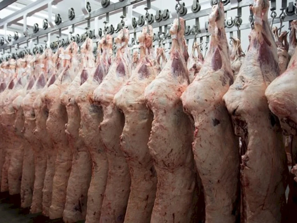 Bagé ira sediar concurso de Carcaça Angus